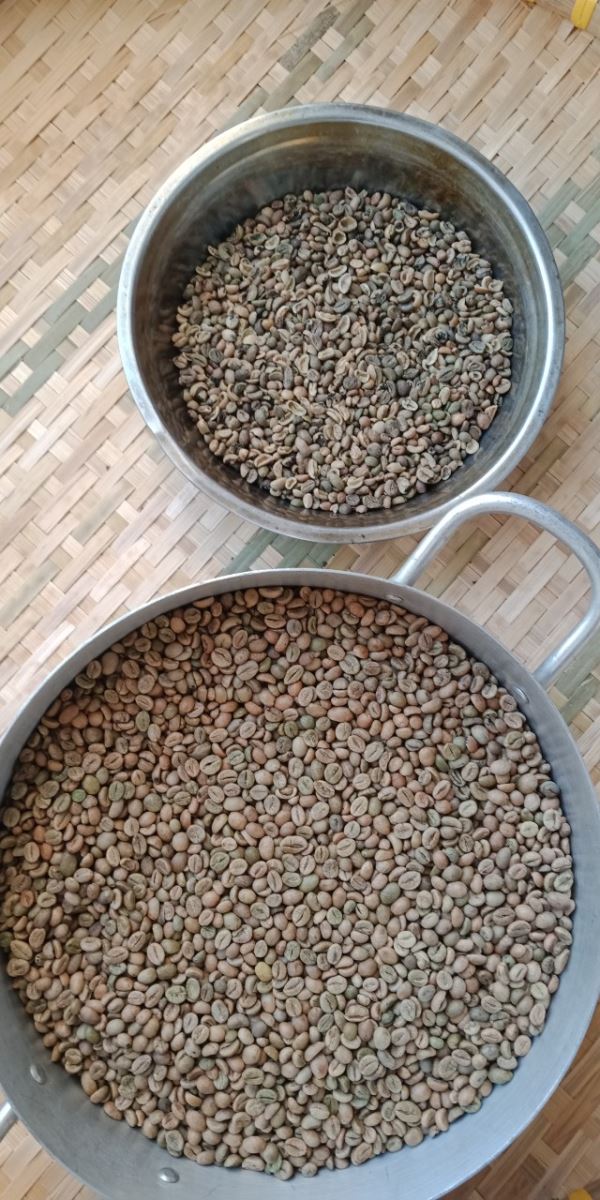 Cà phê hạt rang Robusta Java - 500 gram